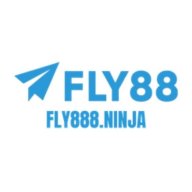 fly888ninja1