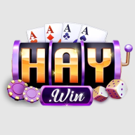 haywincocom3