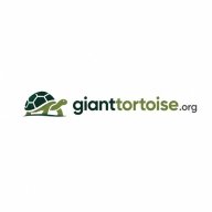 thethaogiantt